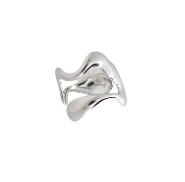 FLUIDITY - Image 2
